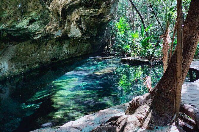 Private Cenote Experience, swim in the heart of the Mayan Jungle - Introduction to the Private Cenote Experience