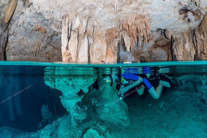 Private Cenote Snorkeling Tour Tulums Hidden Gems - Exploring the Itinerary in Detail