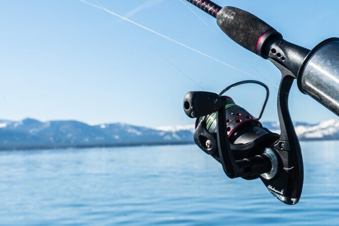 Private Charter on the Professor - Pricing and Value