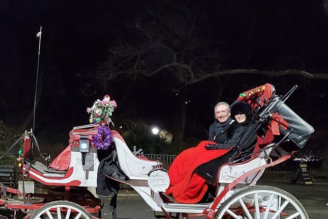 Private Christmas Lights Horse Carriage Tour In New York City - The Experience in Detail
