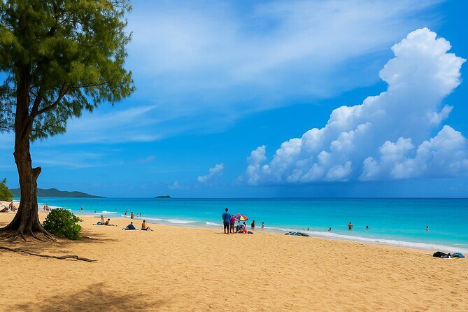 Private Circle Island Tour North Shore and East Side - The Sum Up