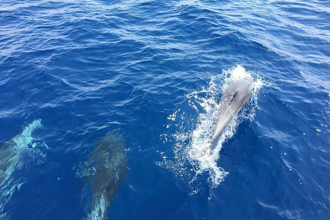 Private Coast to Coast Sailing Trip from Rhodes City - Detailed Breakdown of the Itinerary