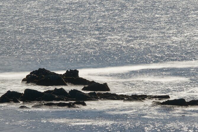 Private Connemara Day Tour - An In-Depth Look at the Tour Itinerary