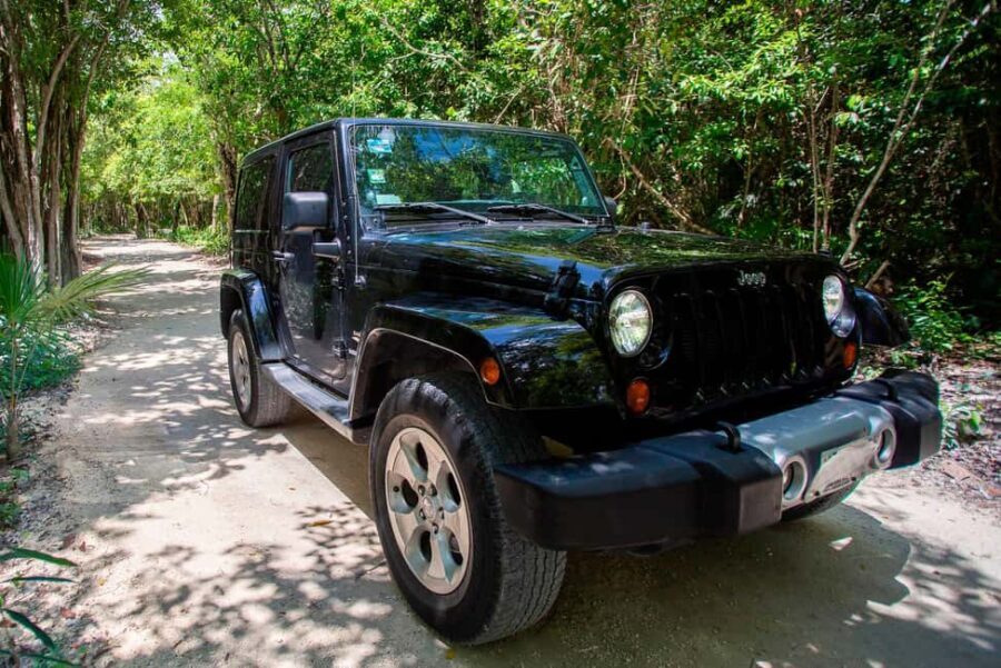 Private Cozumel Jeep and Jade Cavern Cenote Tour - Value for Money and Practical Considerations