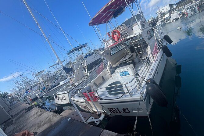 Private & Custom - Family Fish and Snorkel Charter - Who Should Consider This Tour?