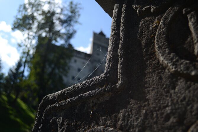 Private Day Tour: Dracula's Castle, Peles Castle and Brasov - The Experience: Comfort, Insight, and Flexibility