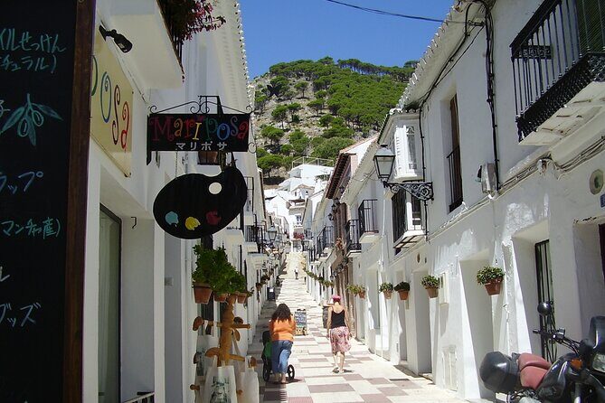 Private Day Trip to Las Mijas from Malaga - Is This Tour Worth the Price?  