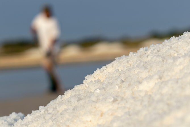 Private Day Trip To Pag Island and Nin Saltworks from Zadar - Who Will Love This Tour?  