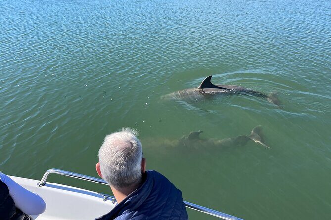 Private Dolphin, Lighthouse and Shelling Adventure (Folly Beach) - Why This Tour Offers Good Value