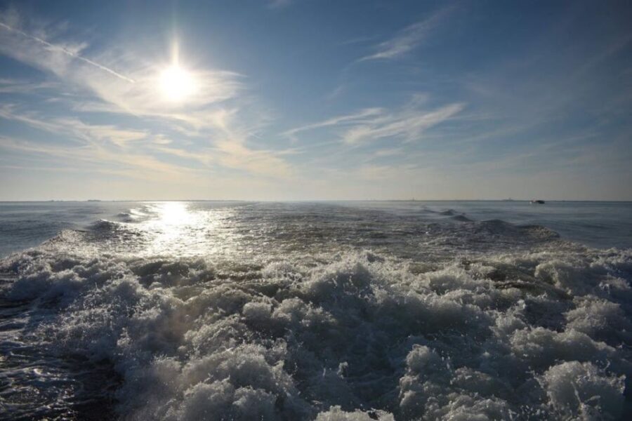 Private Dolphin Tour with Secluded Beach/Snorkel Stop - The Experience Provider: Frisky Mermaid Dolphin Tours