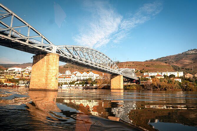 Private Douro Valley Tour: Boutique Winerie & River Cruise - Deep Dive into the Itinerary