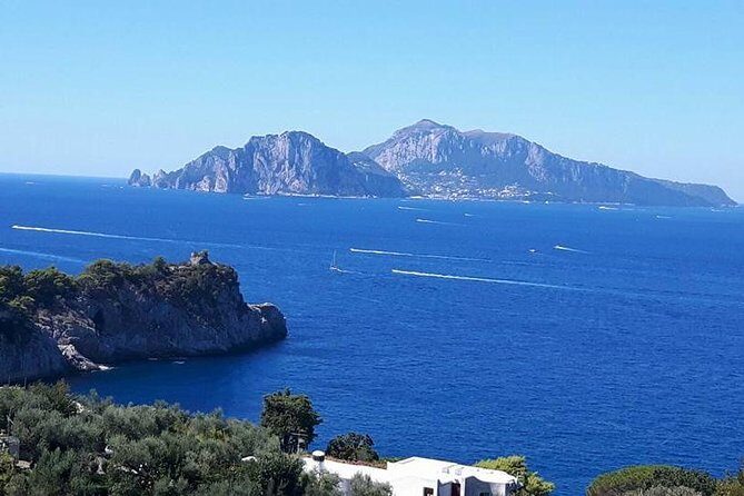 Private Driver VIP Tour of Sorrento & its food delicacies - Who Would Love This Tour?