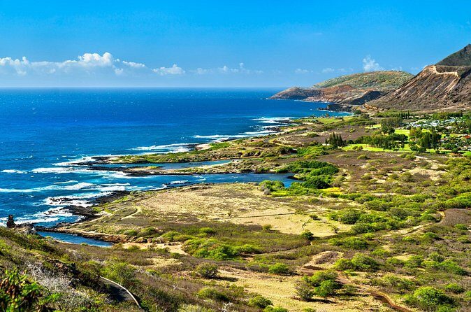 Private Driving Tour of Oahu Scenic South Shore - What You Can Expect from the Experience