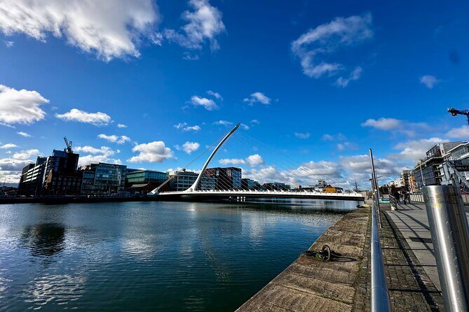 Private Dublin City tour - Who Should Consider This Tour?