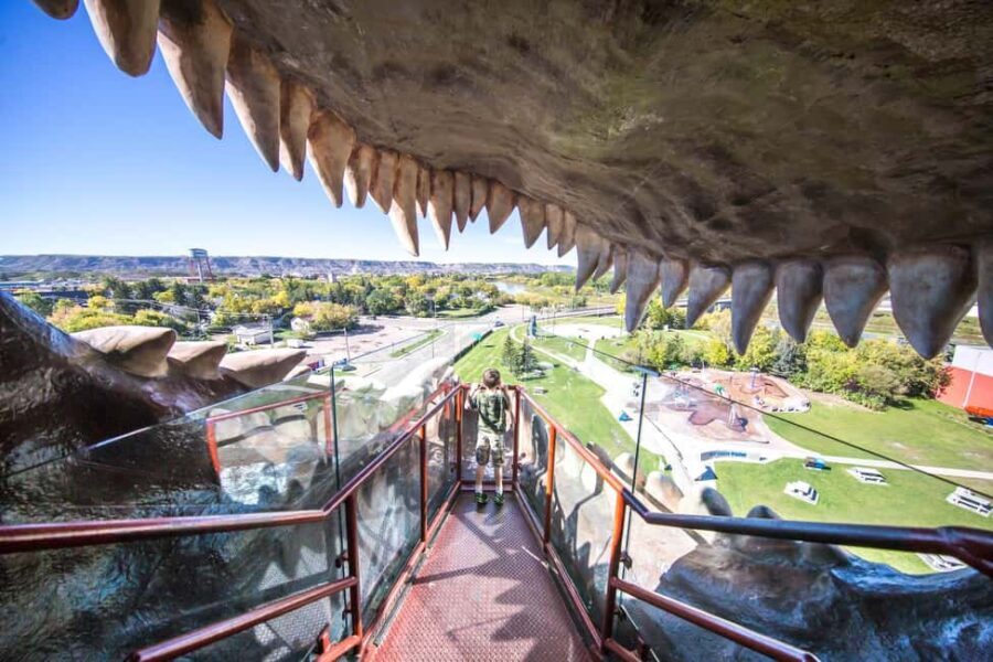 Private Exclusive Drumheller Tour with Royal Tyrrell Museum - FAQ