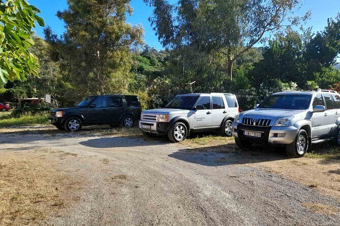 Private Exclusive Manousakis Winery and Vineyard Tour - Who Would Love This Tour?