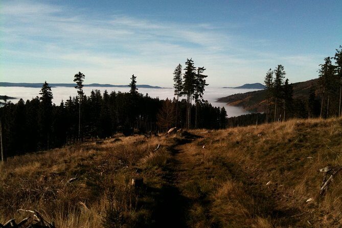 Private excursion: panorama and breath of fresh air at Mont-Sainte-Odile ! - FAQs