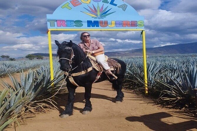 Private Experience of Tequila Town from Jalisco - Transportation and Comfort