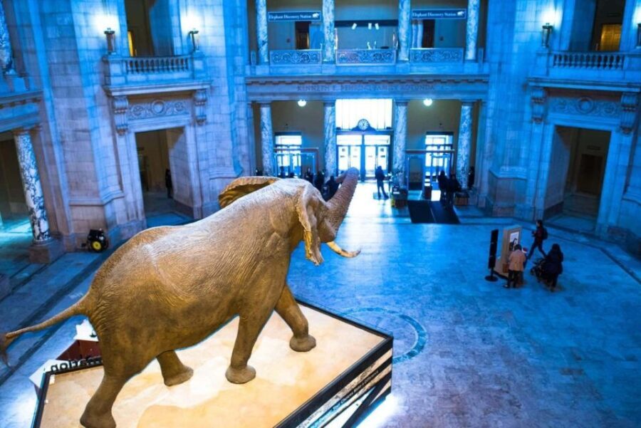 Private Family walking tour in Washington - Analyzing the Value and Practical Details