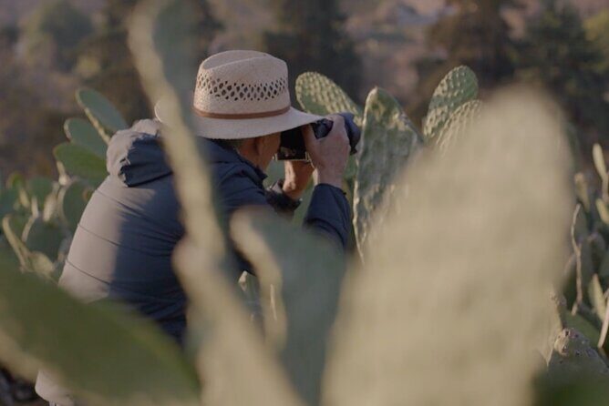 Private Food Tasting and Filmmaking Tour in Mexico City - Authentic Filming and Tasting in Mexico City