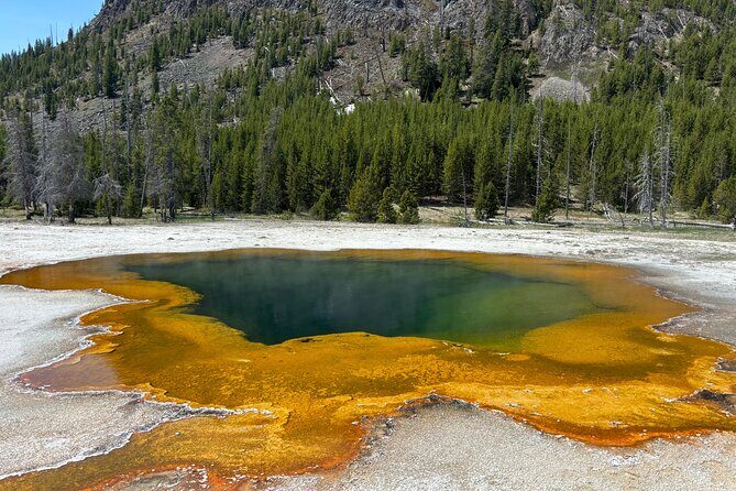 Private Full Day Tour of Yellowstone's Natural Wonders - FAQs