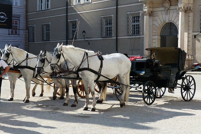Private full day trip to Salzburg from Vienna - driver only - Who Is This Tour Best For?