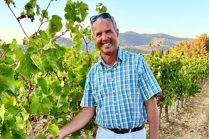 Private Full Day Wine Tour in Provence from Toulon Cruise Port - Authentic Experiences and Real Reviews