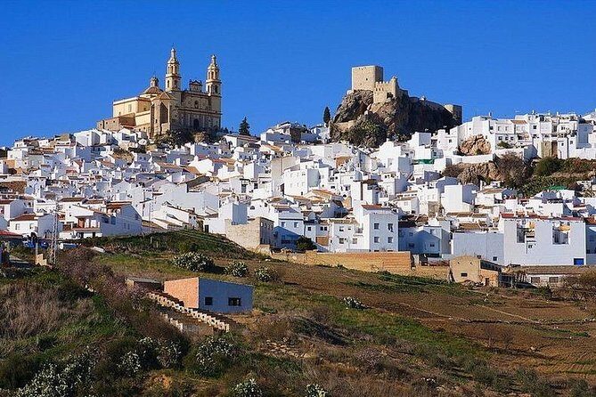 Private Guided Day Trip to the White Villages and Ronda from Seville - Authentic Experiences That Shine