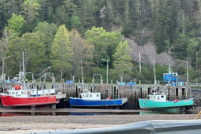 Private Guided Fundy Tour in Saint John - The Experience: What to Expect