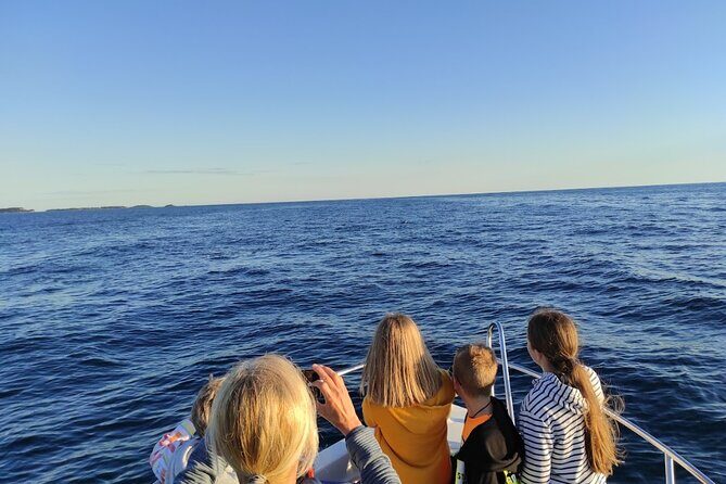 Private Guided Sunset Dolphin Watching in Adriatic Sea - What to Expect from the Tour