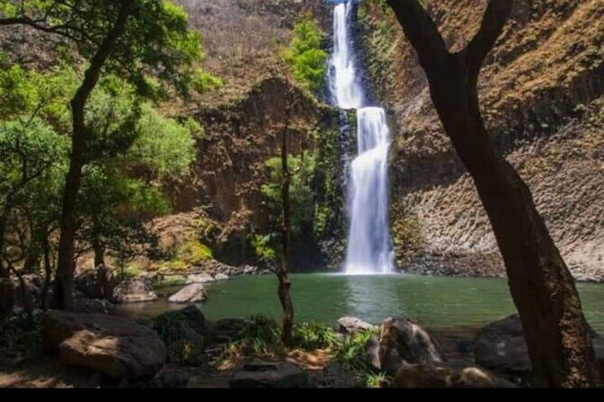 Private Guided Tour to Tapalpa with Transportation - Key Highlights of the Itinerary