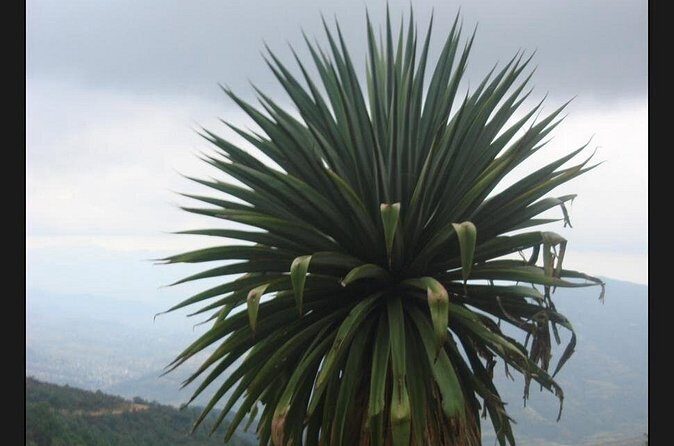 Private Half Day Bird Watching Experience - Final Thoughts