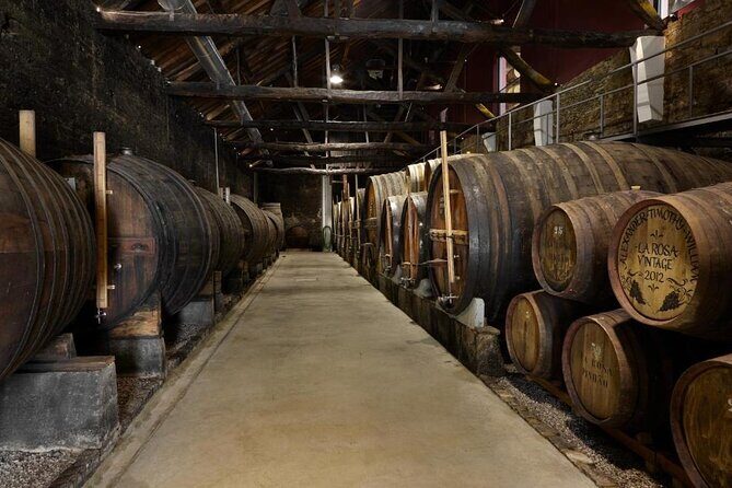 Private Half-Day Douro Tour - Why This Tour Offers Good Value