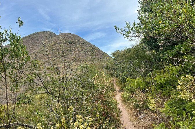 Private Half Day Hiking Experience in Picacho - What Makes This Tour Stand Out