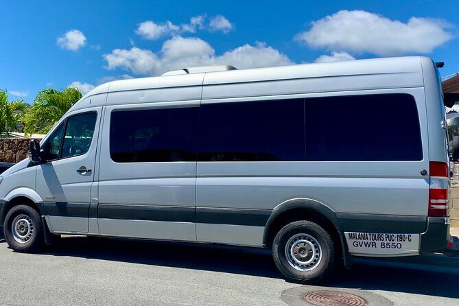 Private Half Day Oahu North Shore Anti-Tour - Deep Dive into the Itinerary