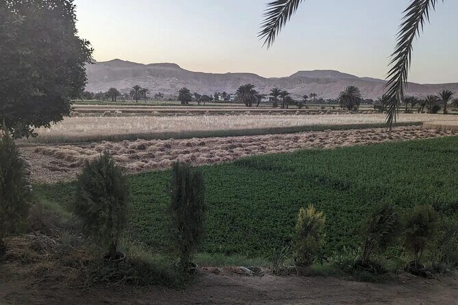 Private Half Day Tour West Bank of the Nile Luxor Egypt - The Colossi of Memnon