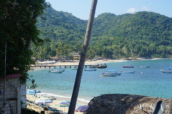 Private Half-Day Tour with Snorkeling at Animas Beach - Final Thoughts: Is This Tour for You?