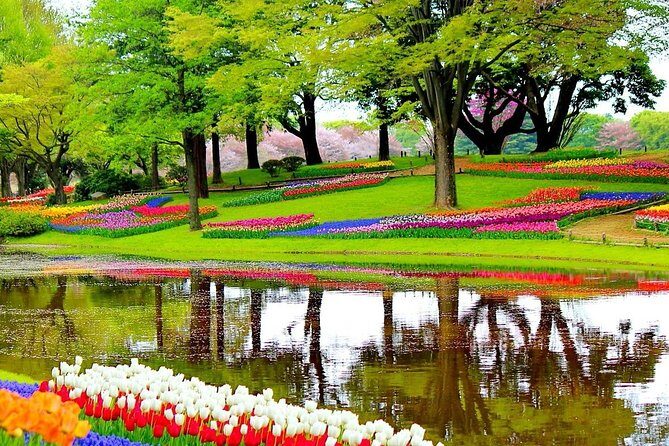 Private Half-Day Trip From Amsterdam to The Tulip Fields in Keukenhof - Value and Pricing: Is it Worth It?