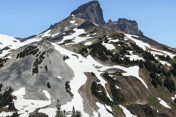 Private Hiking Day Tour of Garibaldi Lake Panorama Ridge - Who Is This Tour Best For?