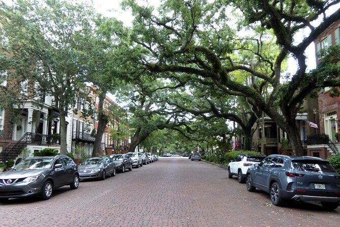 Private Historic Savannah Driving Tour - The Experience: What to Expect from the Savannah Tour