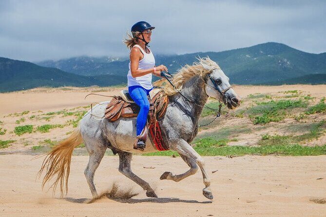 Private Horseback Riding in Cabo San Lucas - A Closer Look at the Experience