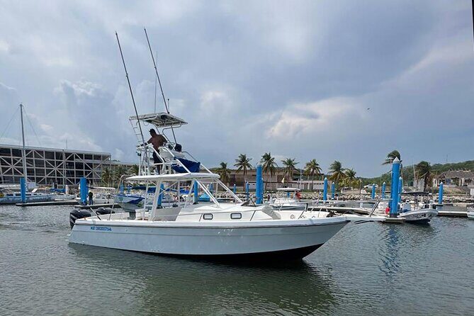 Private Huatulco Whale & Dolphin Adventures - Summary: Why Choose This Tour?