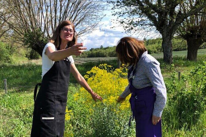 Private Introduction to plant color in Forcalquier in Provence - The Value Proposition: Is It Worth It?