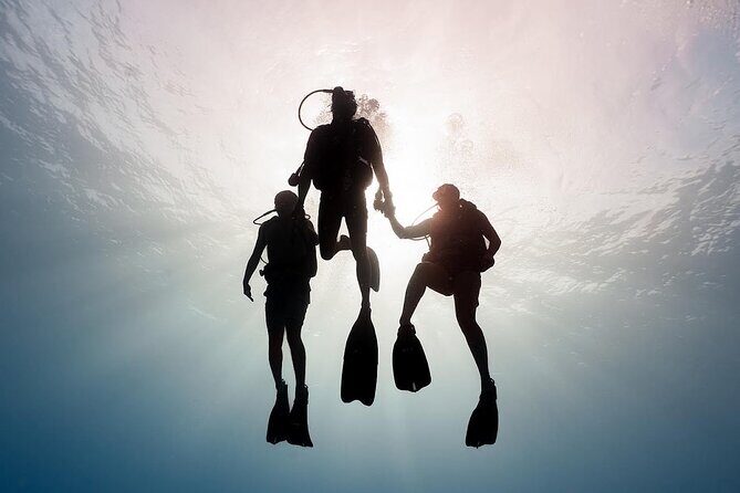PRIVATE Introductory Discover Scuba Diving For Beginners - Authentic Perspectives and What Travelers Say