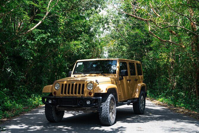 Private Jeep Cenotes Expedition in Cozumel - The Value of This Tour
