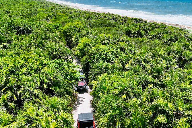 Private Jeep & Polaris RZR: San Gervasio Mayan Ruins & Snorkeling - What the Experience Means for You
