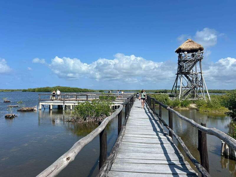 Private Jeep tour to Punta Sur park + snorkel + Lunch - Snorkeling at Skyreef Beach Club