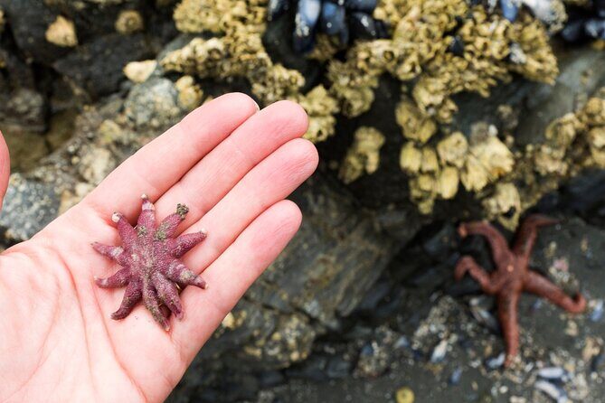 Private Ketchikan Wildlife and Sightseeing Tour - Exploring the Itinerary in Depth