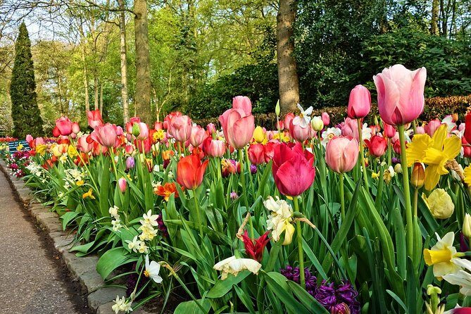 Private Keukenhof, Gardens, Windmills, cheese tour from Amsterdam - Practical Details and Value