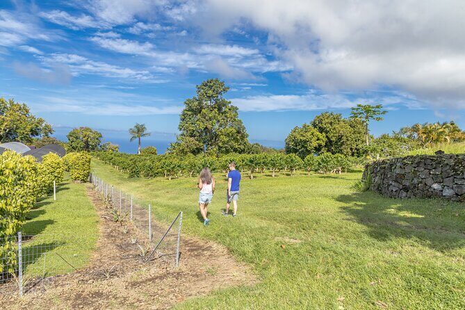 Private Kona Coffee and National Historic Parks Tour - Who Should Consider This Tour?